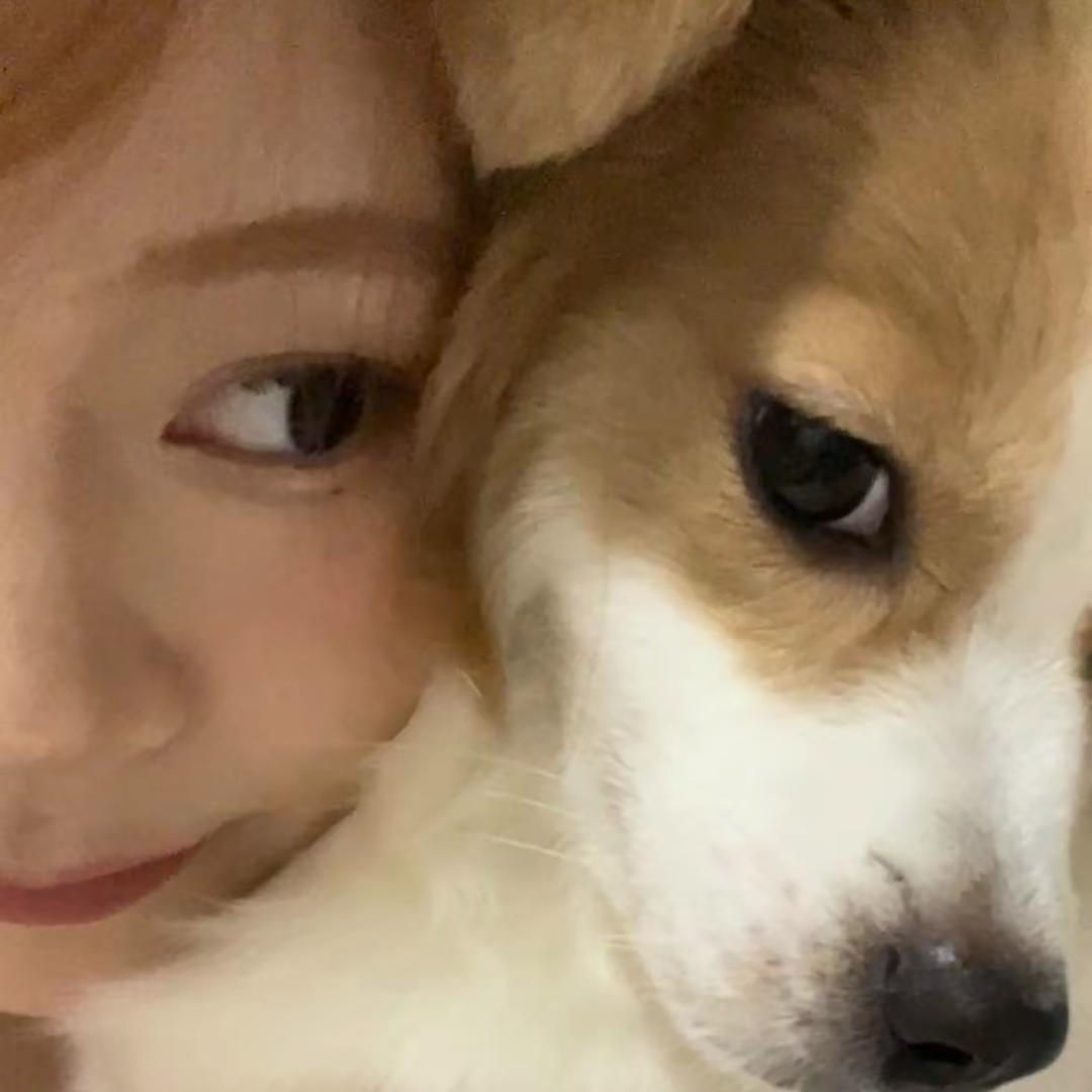 嘟比Dobby🐶