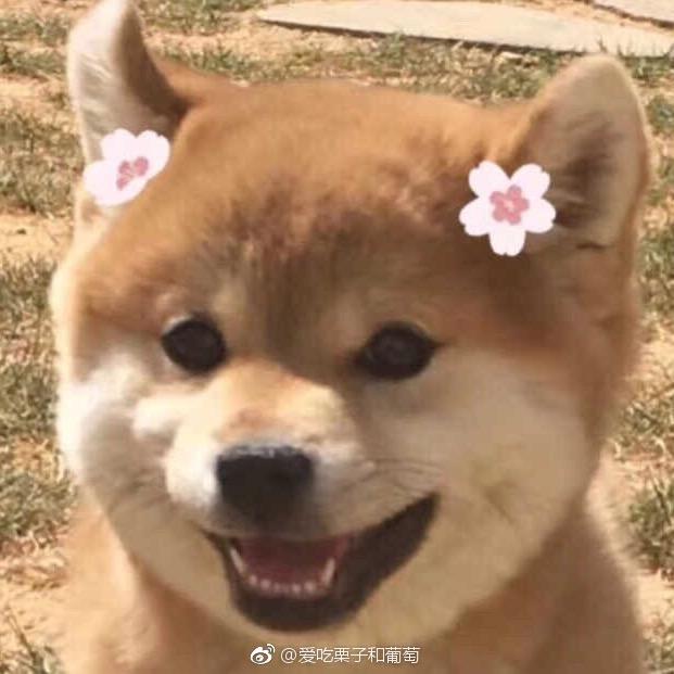 啊我是狗蛋你是谁