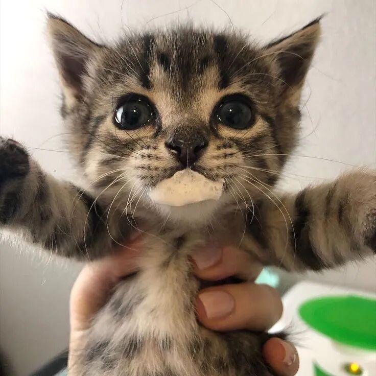 不要打扰我睡觉