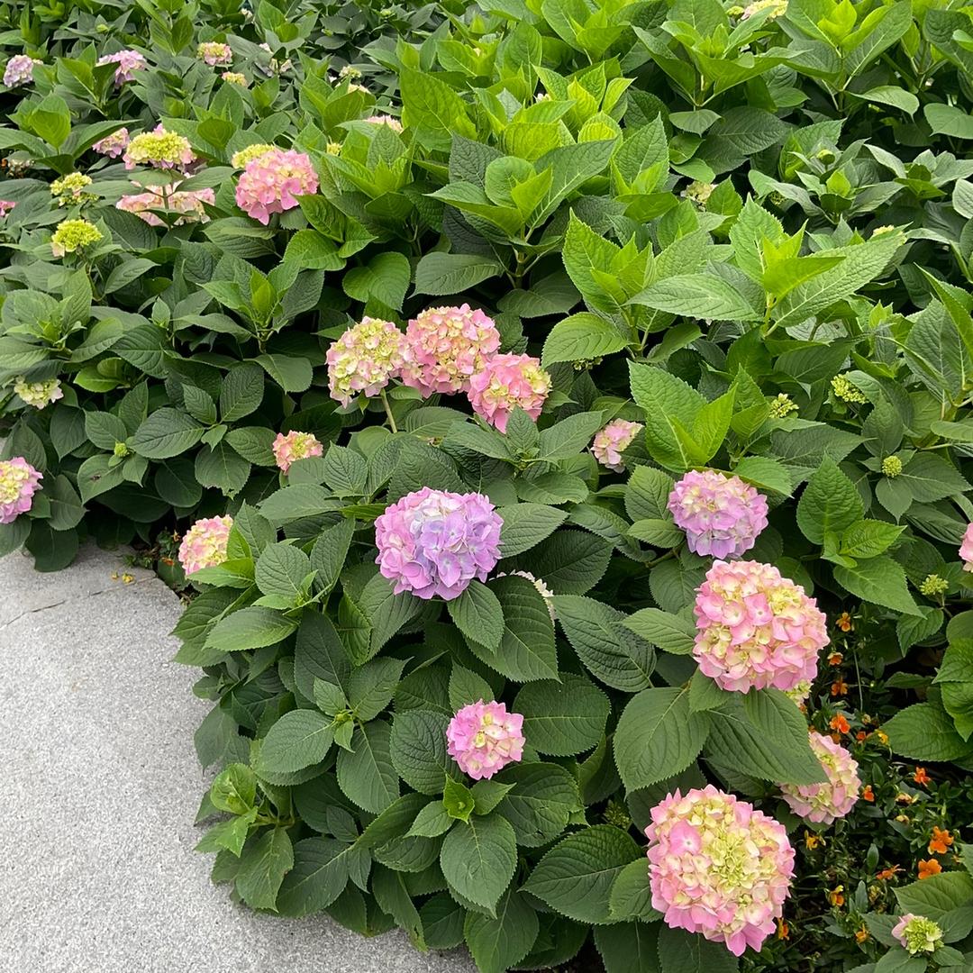 贵阳市南明区鑫齐宏汽配经营部