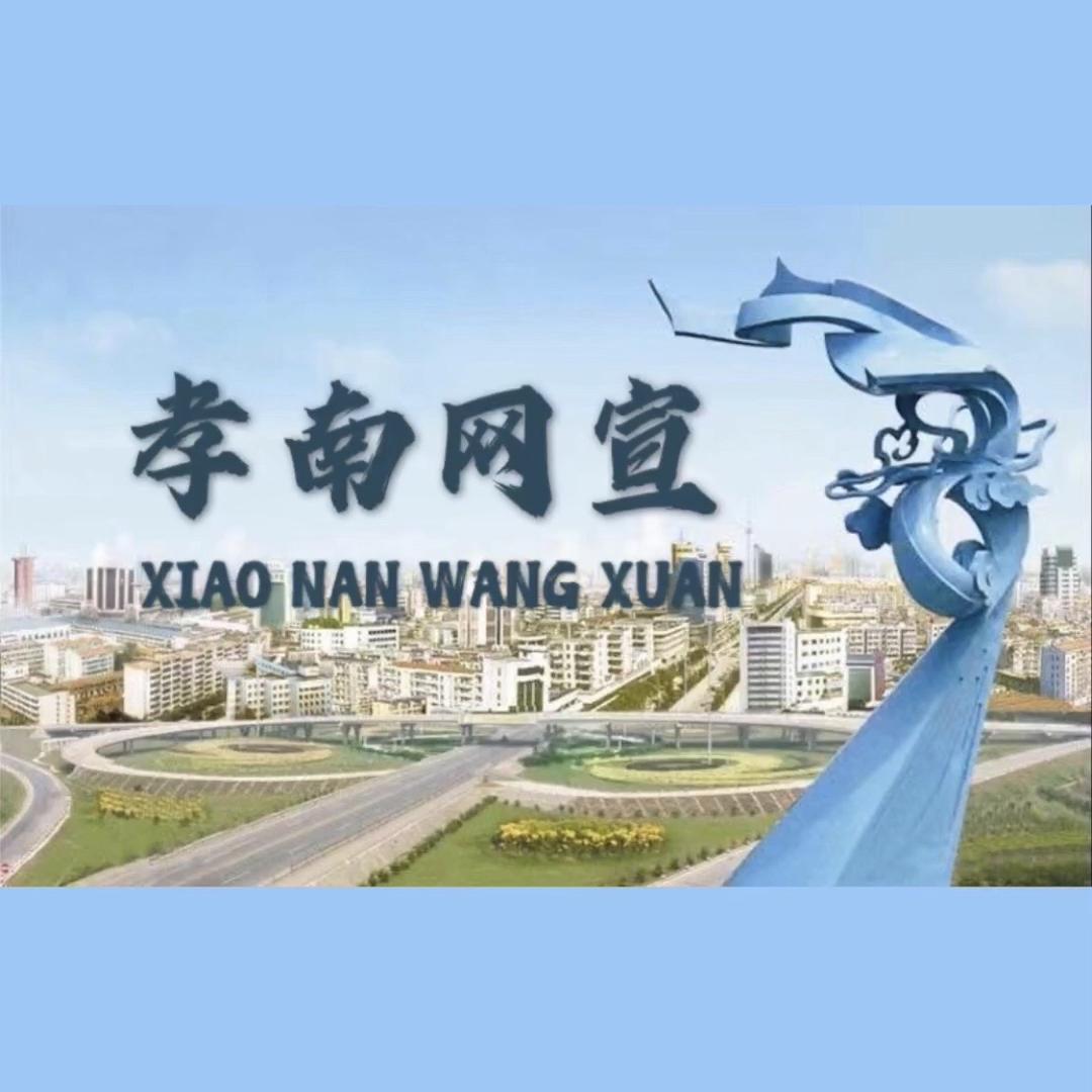 孝南网宣