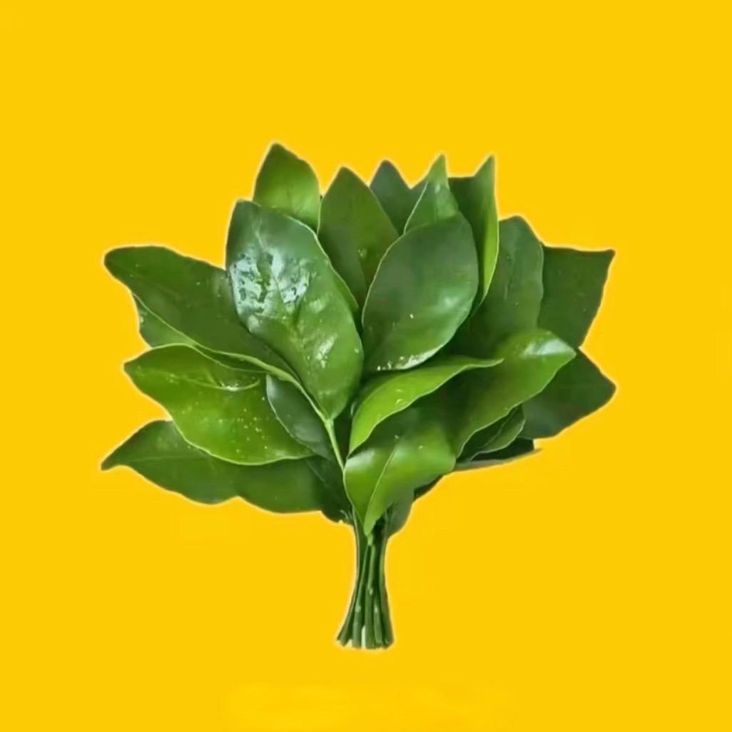 北半球最深情的渣男