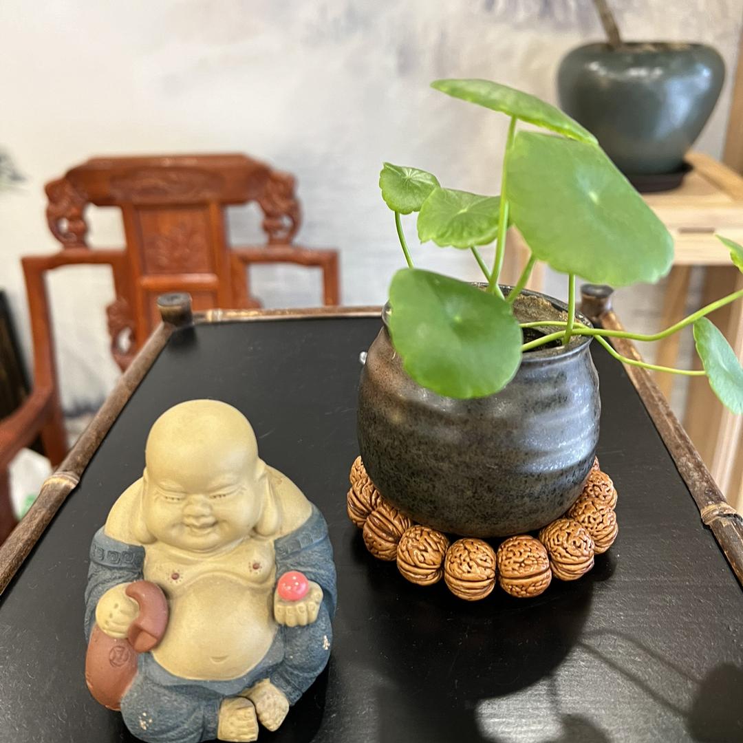 御品茶庄——东东