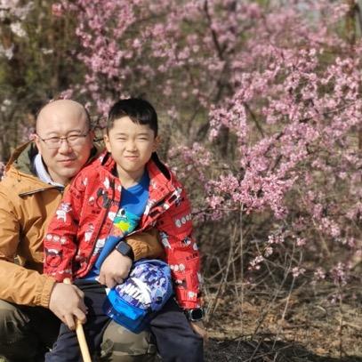 特利迦奥特曼闪耀形态妈妈