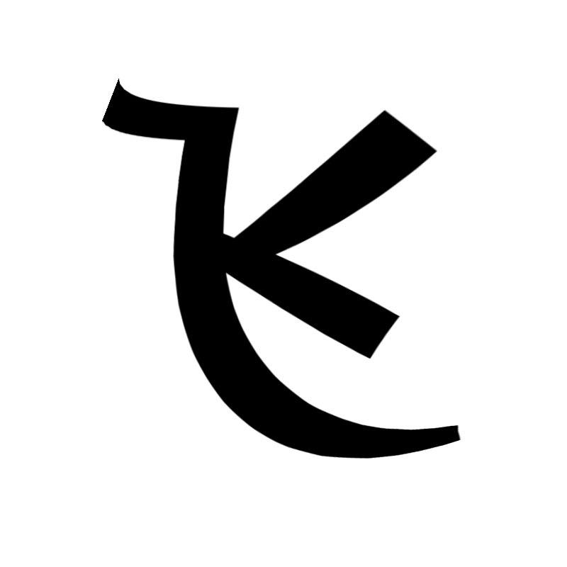 TikTok 飞