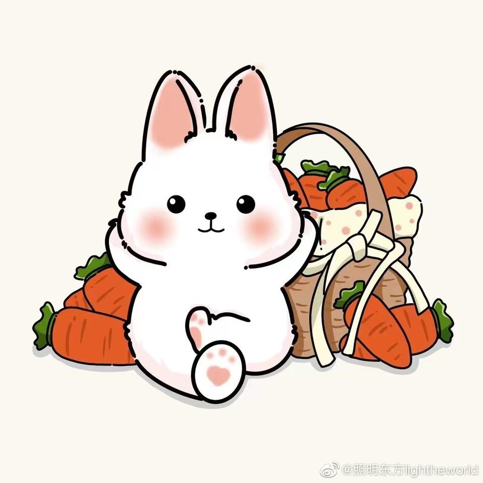 跟着小段去旅行