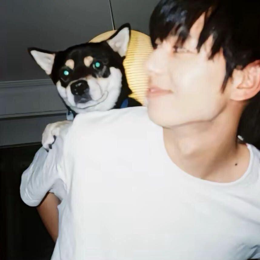 Eie