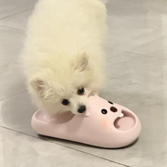 爱吃蛋挞