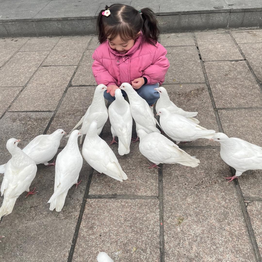 🌈恶魔👿小柠檬