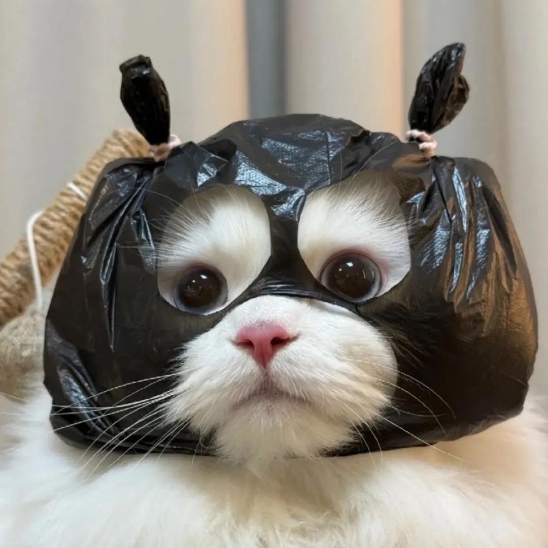 臭屁公主