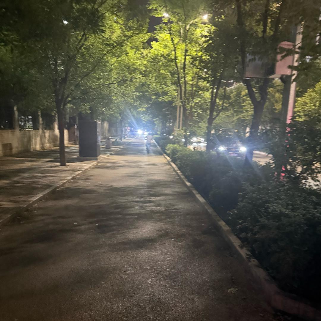 @՞˶･֊･˶՞ಣ 𝒞𝒽ℯ𝓃s