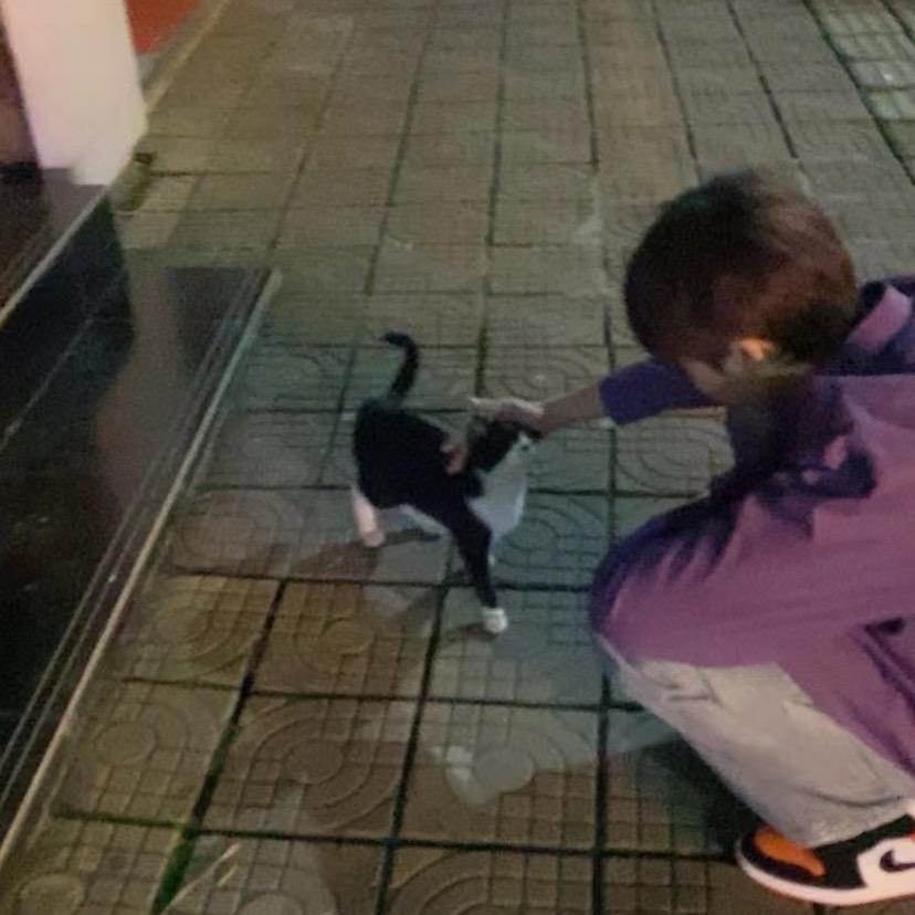 天弃者