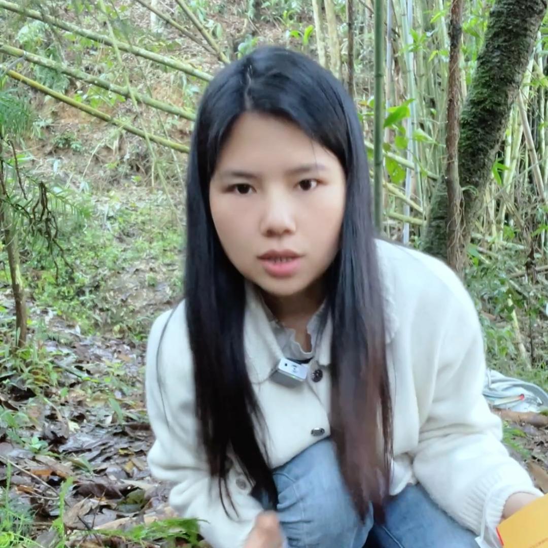 沉香