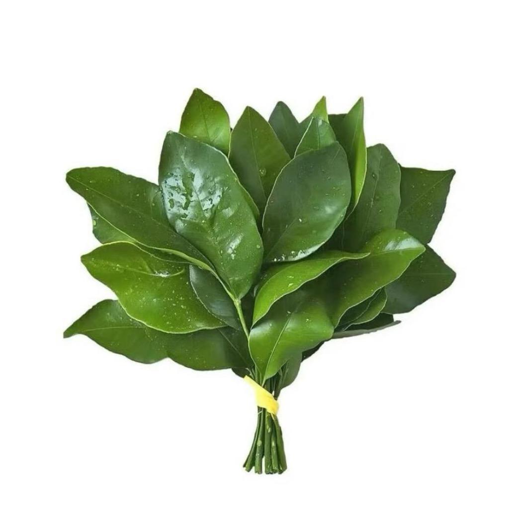 啵啵呀～