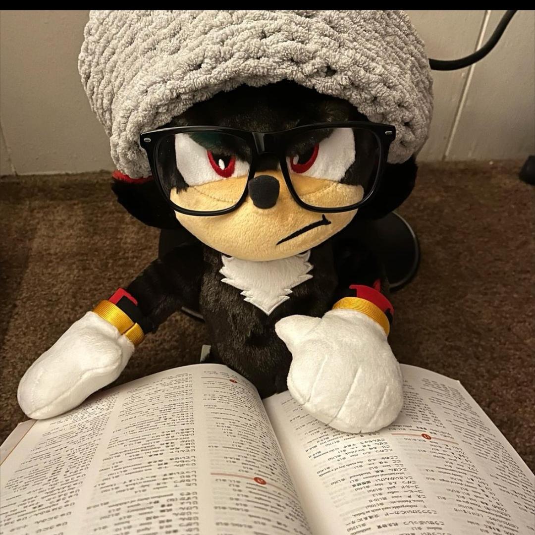 一口五个砂糖橘