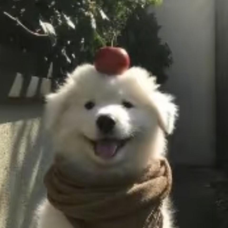 我会自己吃饭