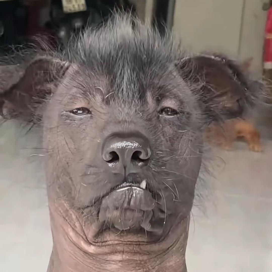 欢迎欢迎我