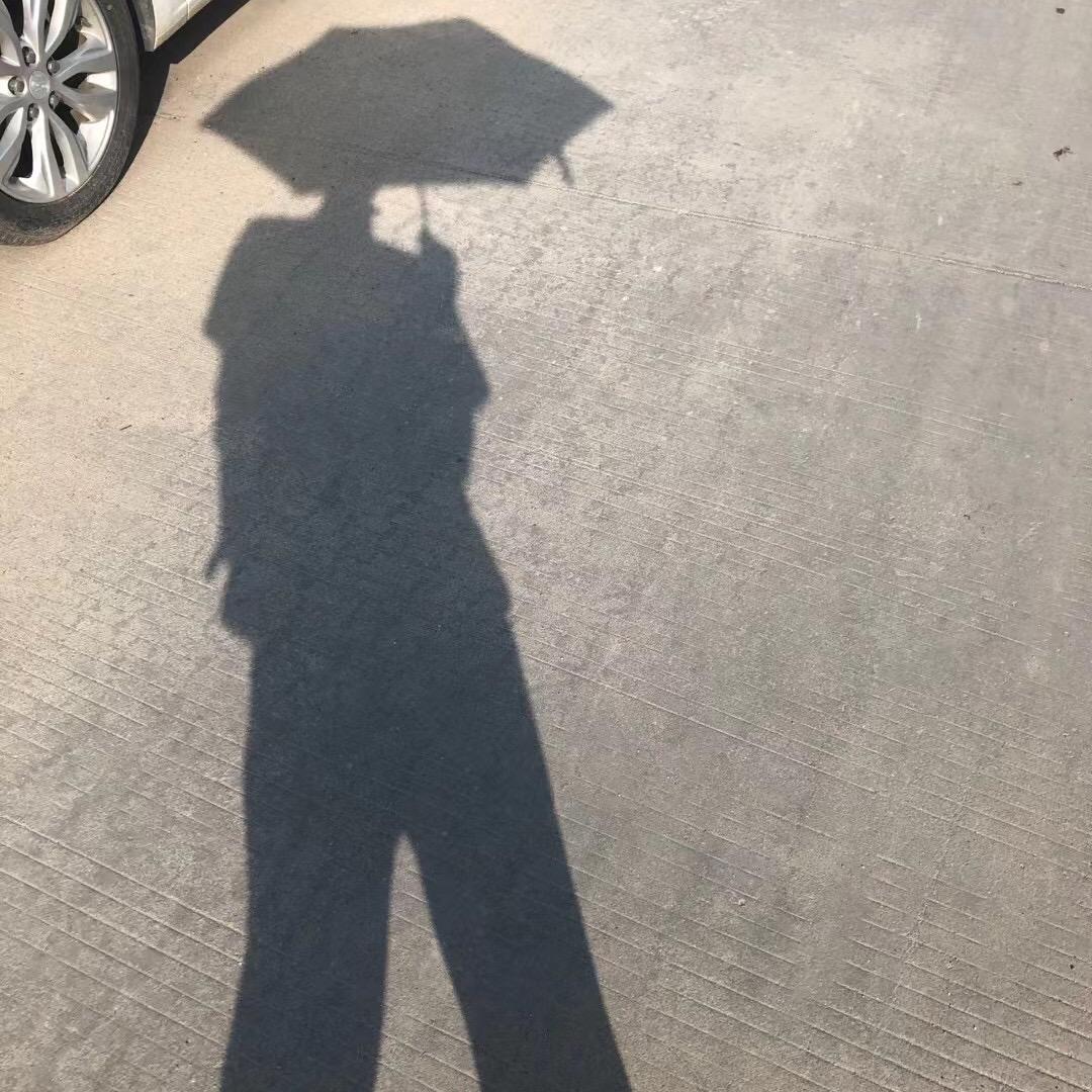 臻媛