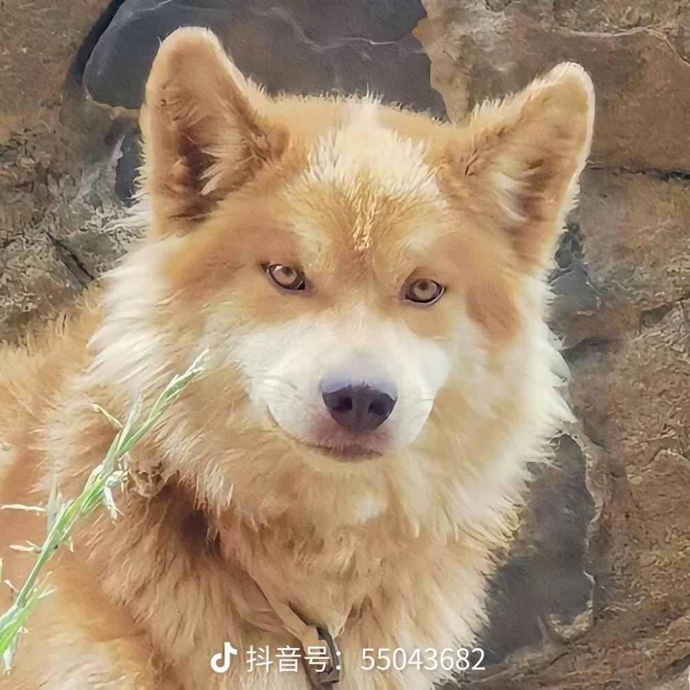 阴天