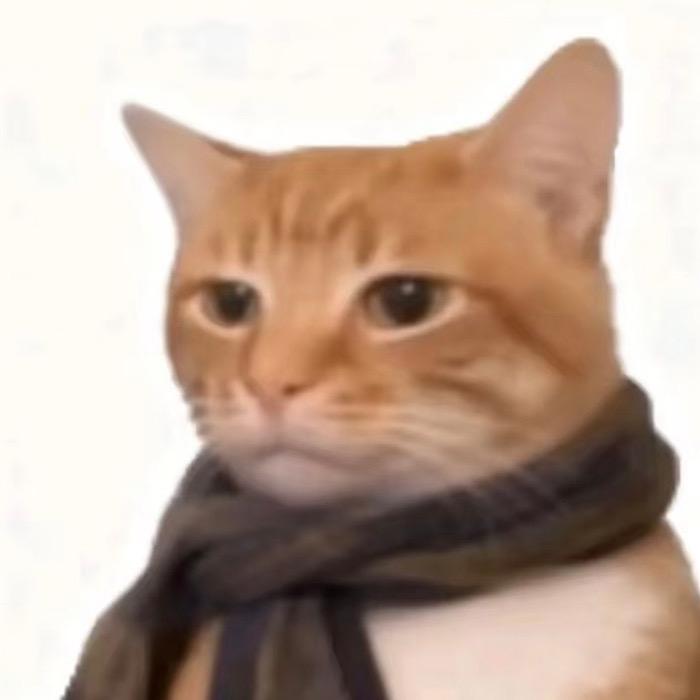 鴻