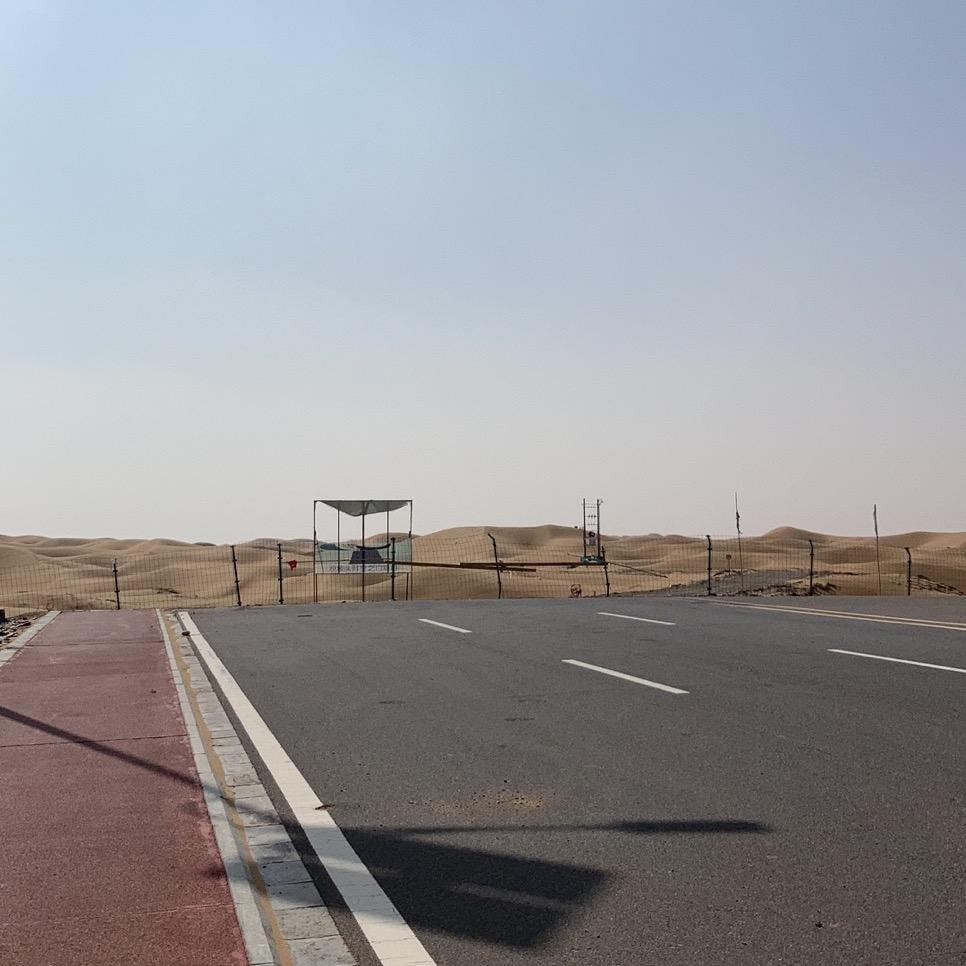 西夏铁骑*不言小狮子