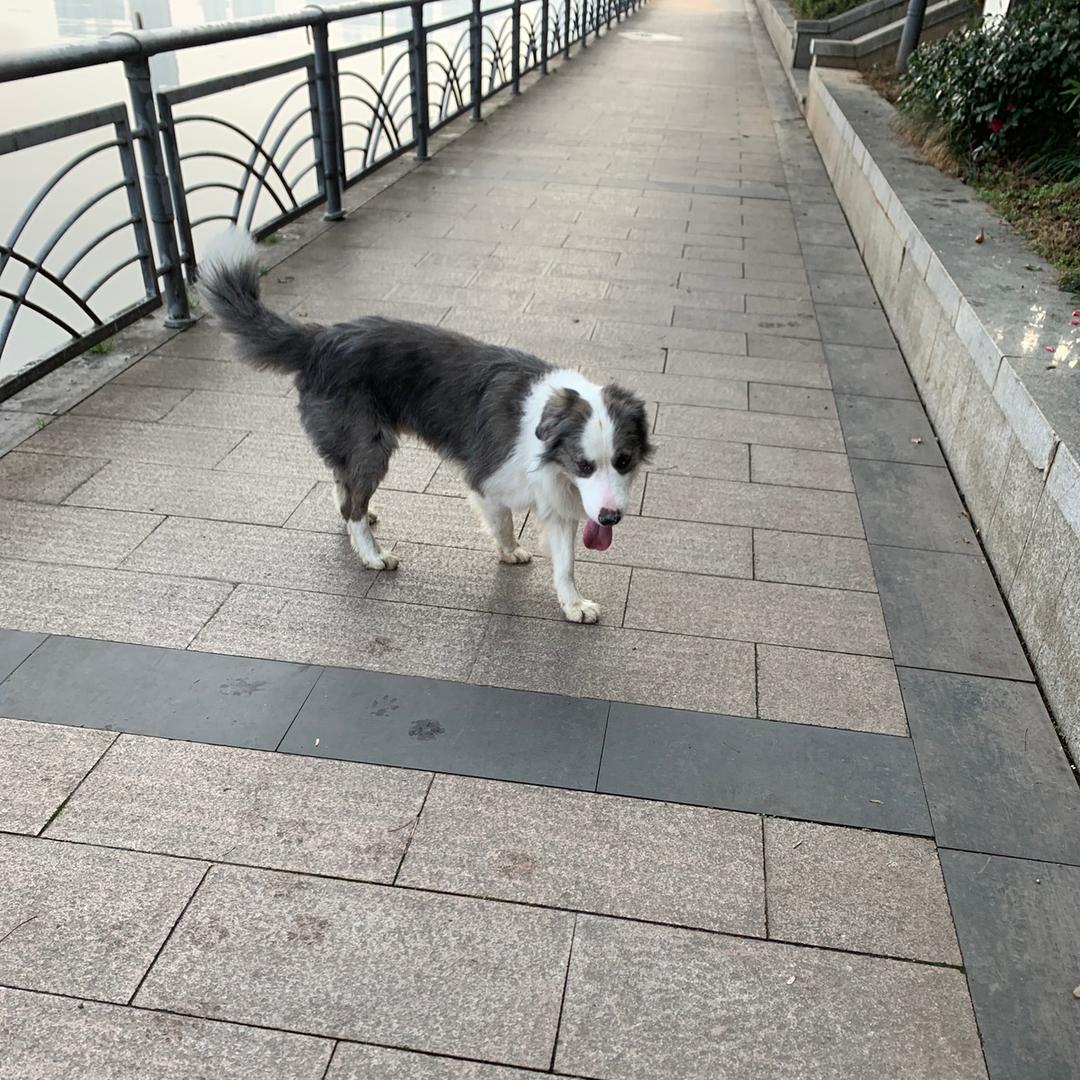 风雨中穿行