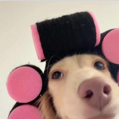 Coo可
