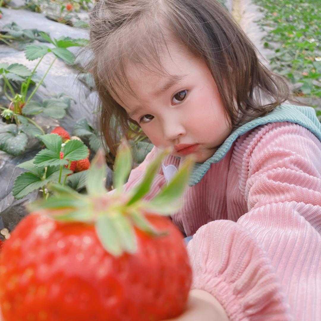 方梅梅