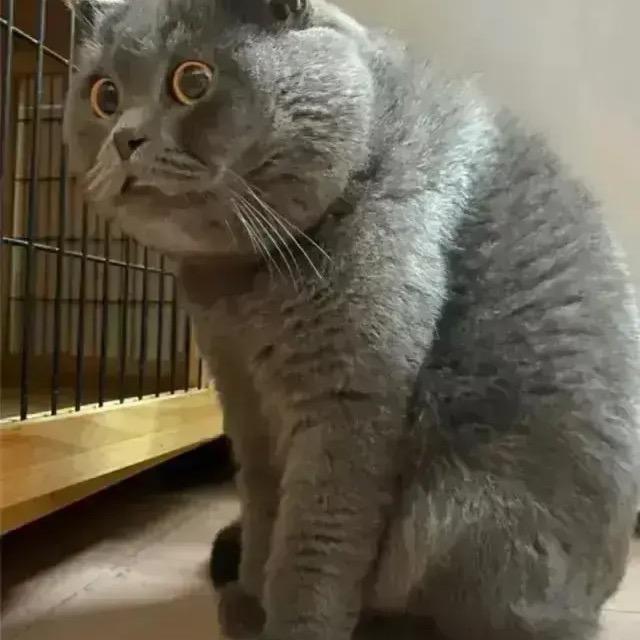 小明