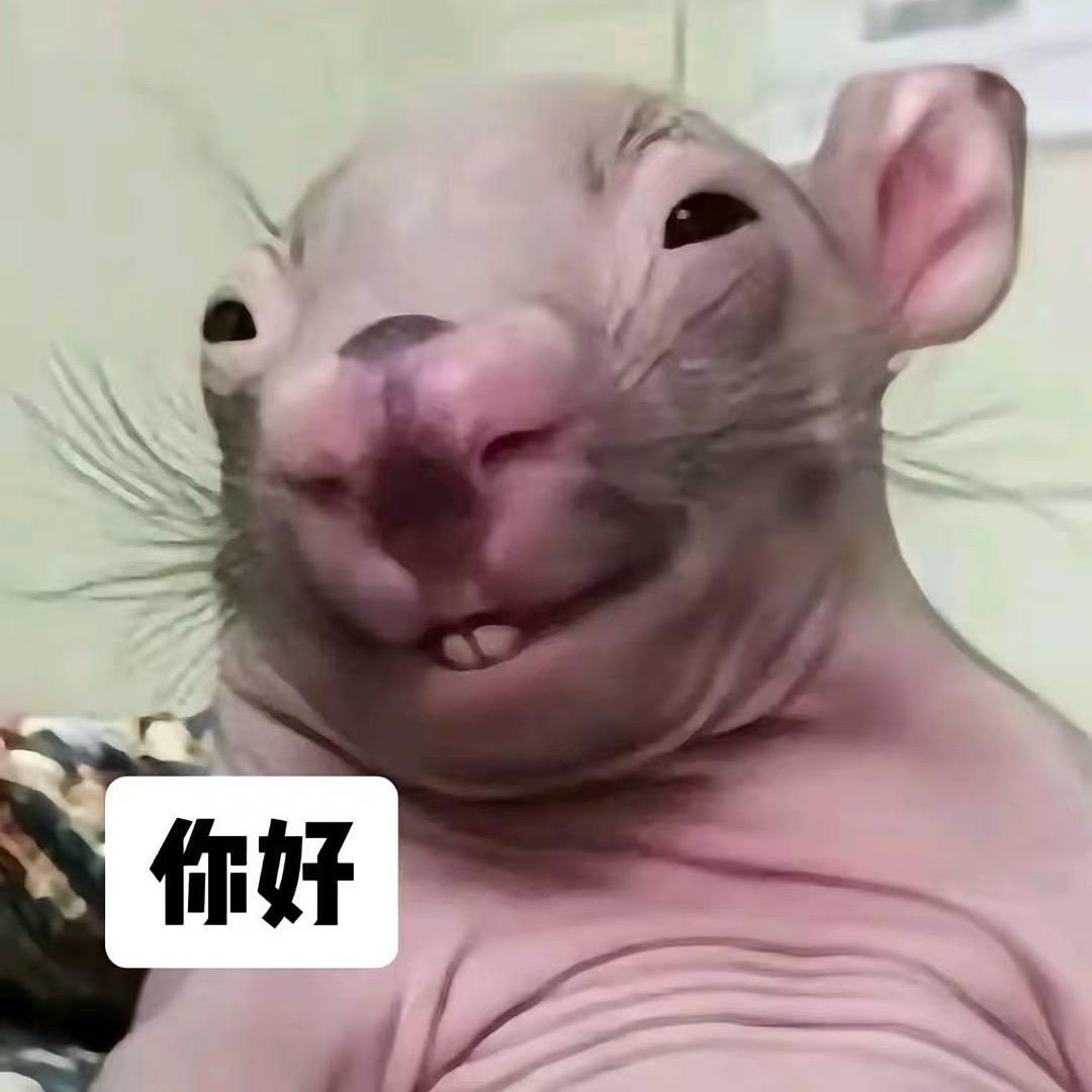 鱼🐟