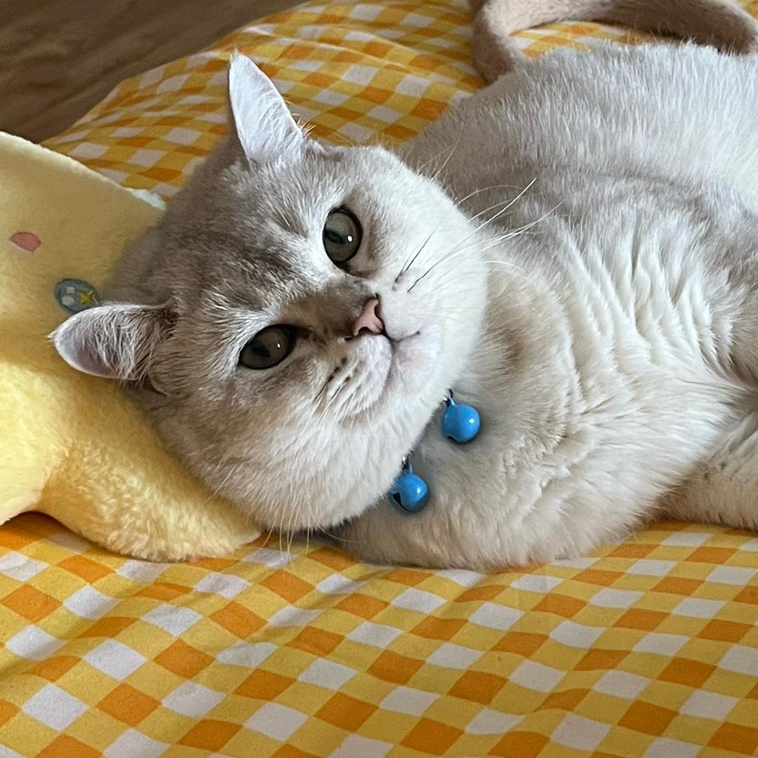 重生「王者荣耀」