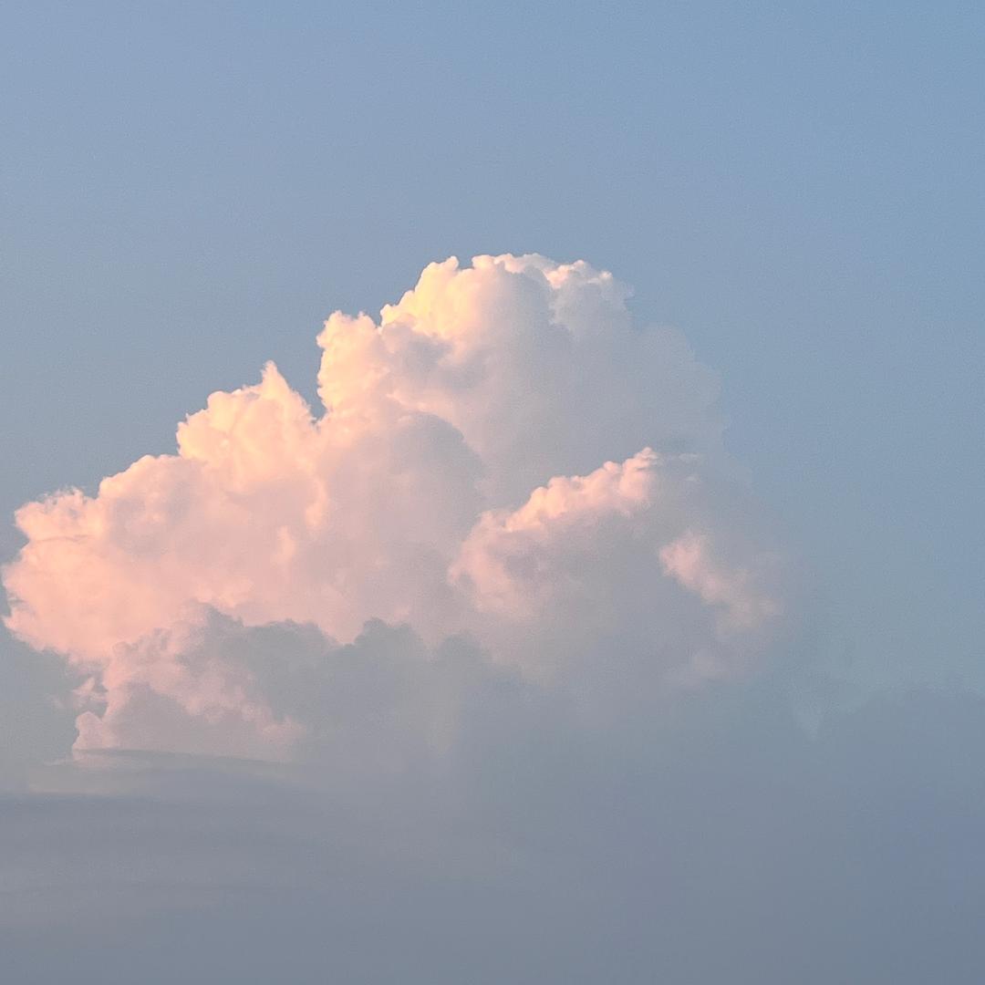 红红的成长日记