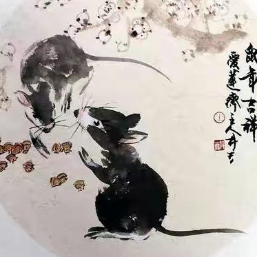 先生说鼠🐭