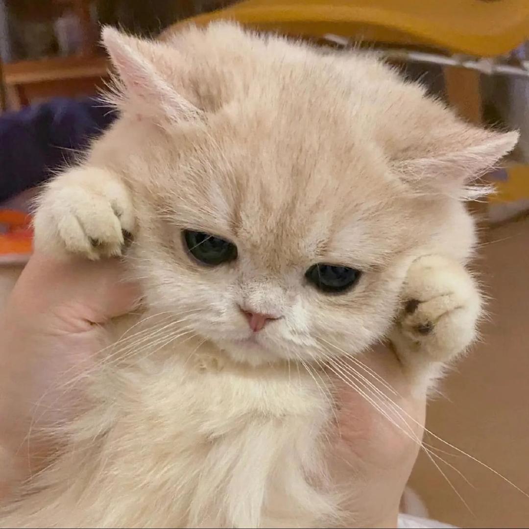 专一先生
