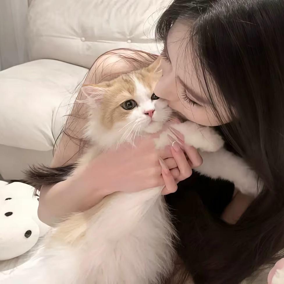 琴妹妹