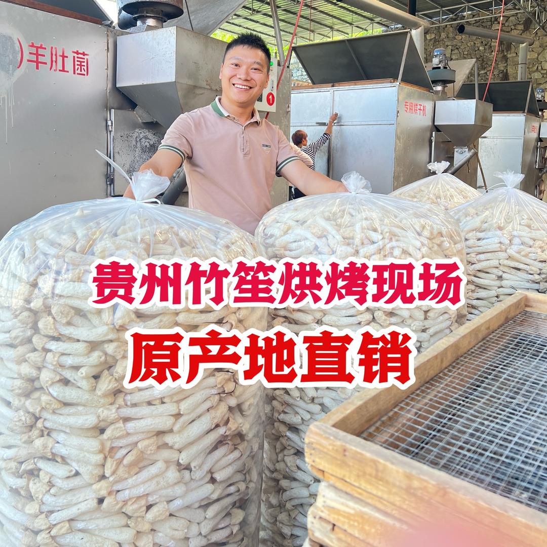 贵州强仔菌菇农产品