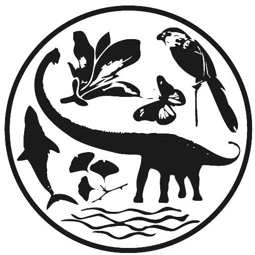 上海自然博物馆