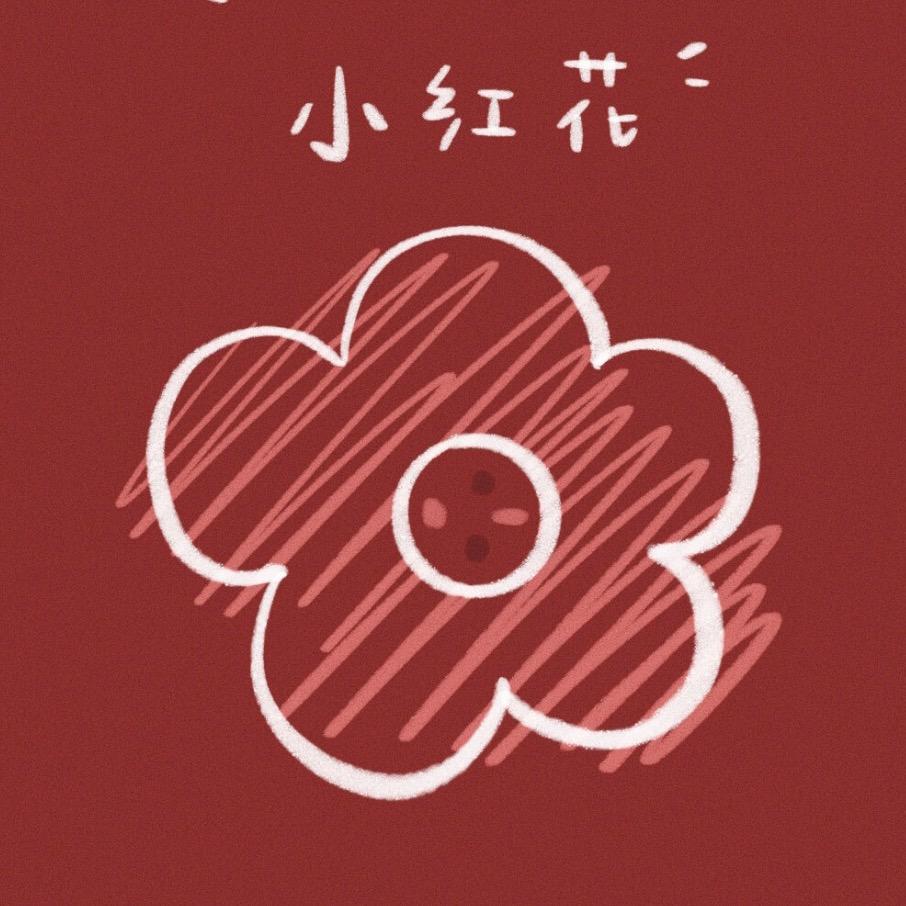 数码壳壳