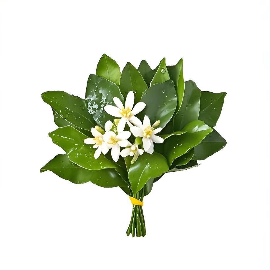 永善每日范99鞋包店