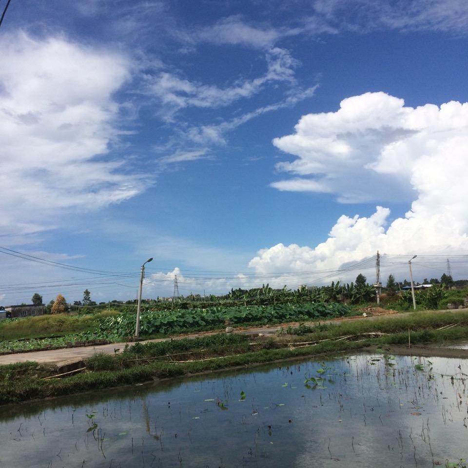 方东新