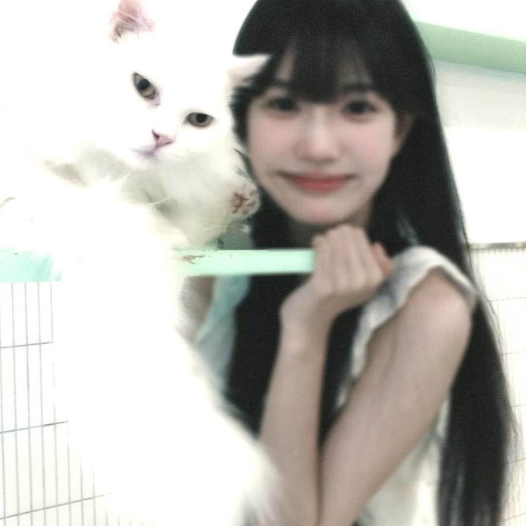 允允.