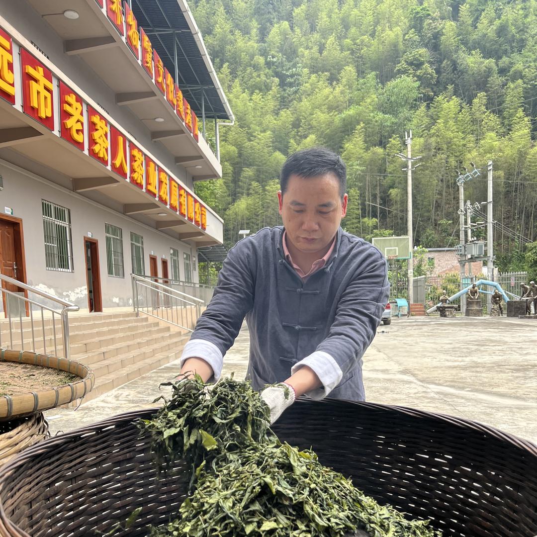 （辉记）老茶人严选