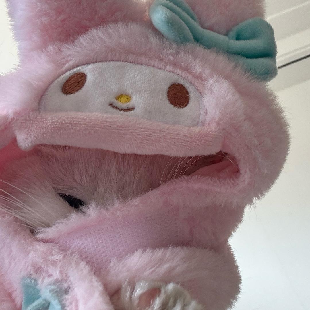 香辣烤鱼