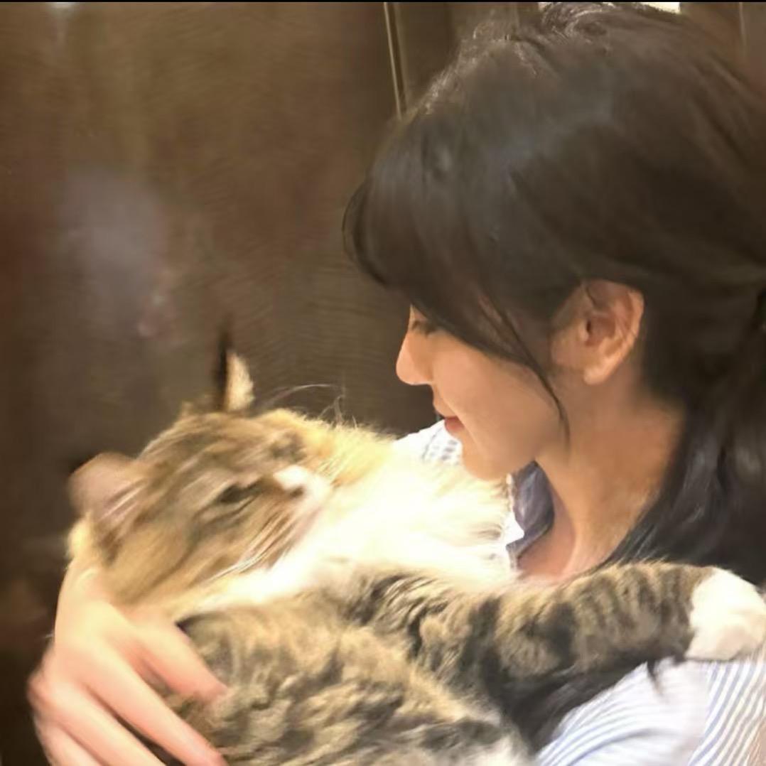 qq love