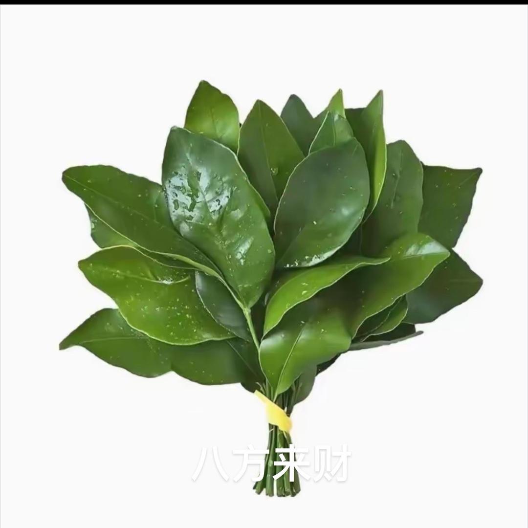 顺风顺水，
