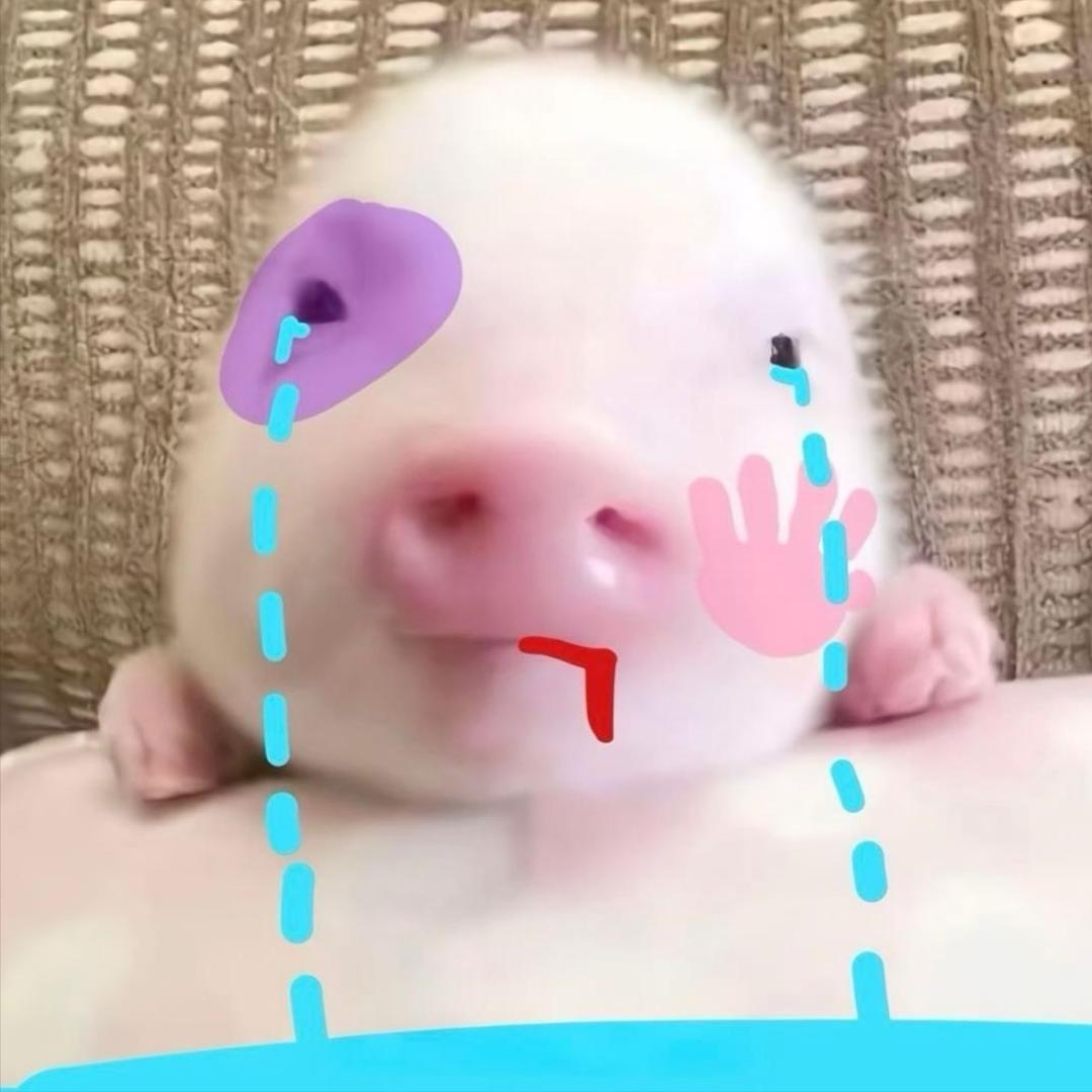 07还被没收手机