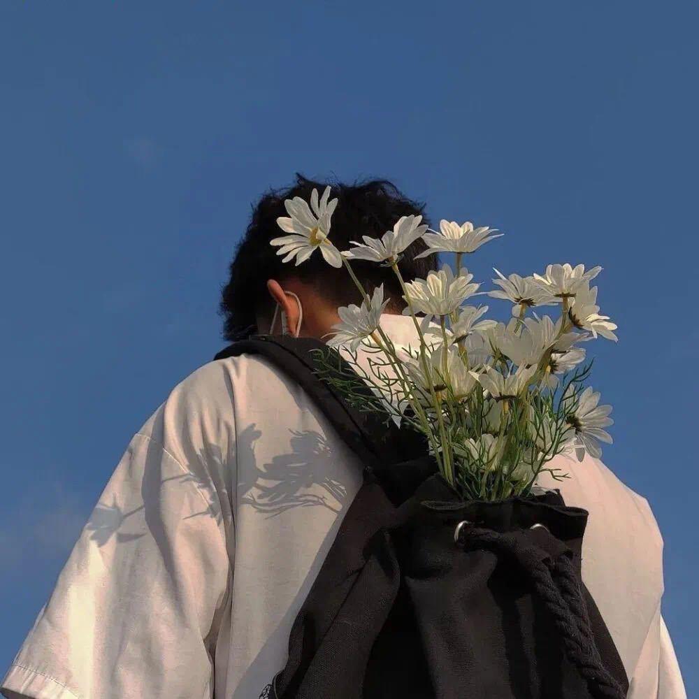 悲伤猪大肠