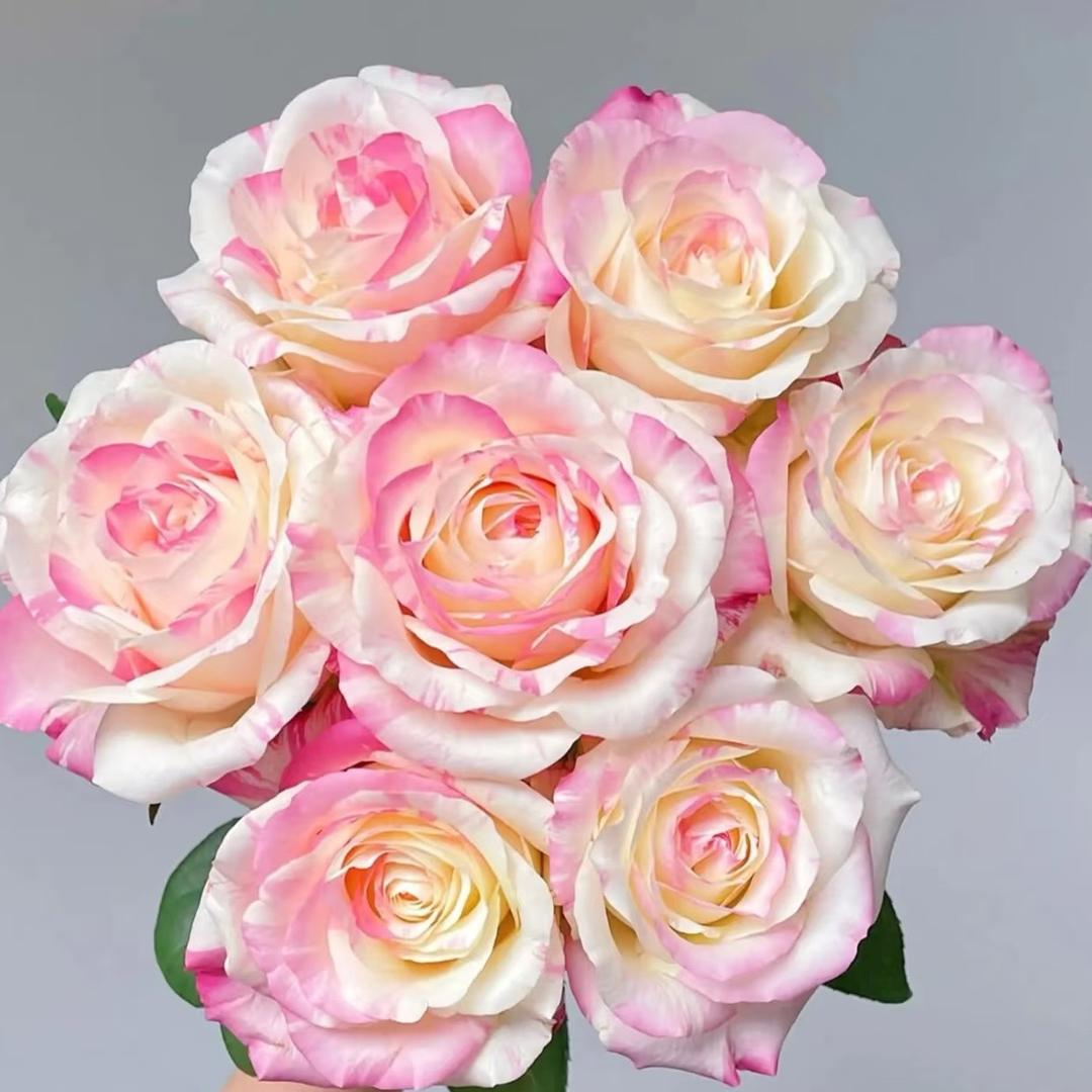 妙语花坊