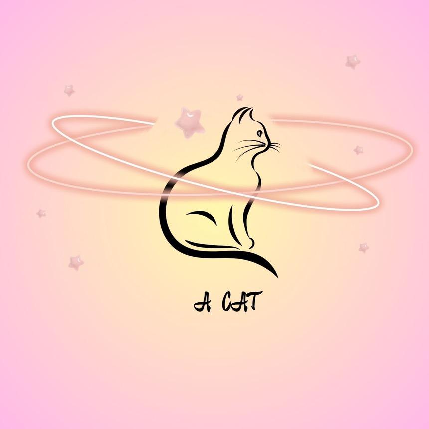 一只猫壳壳铺