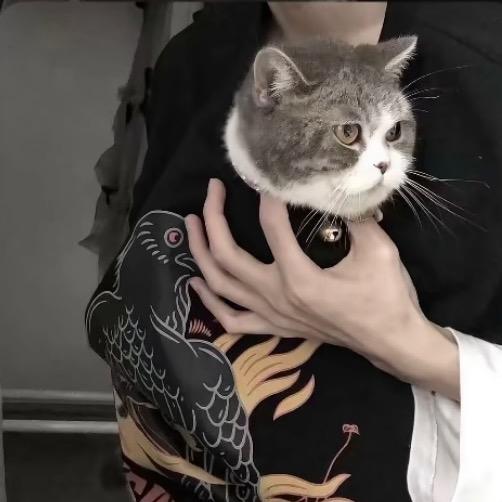 梁森❗️